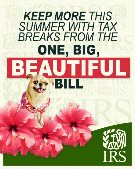 Summer OBBB Savings
